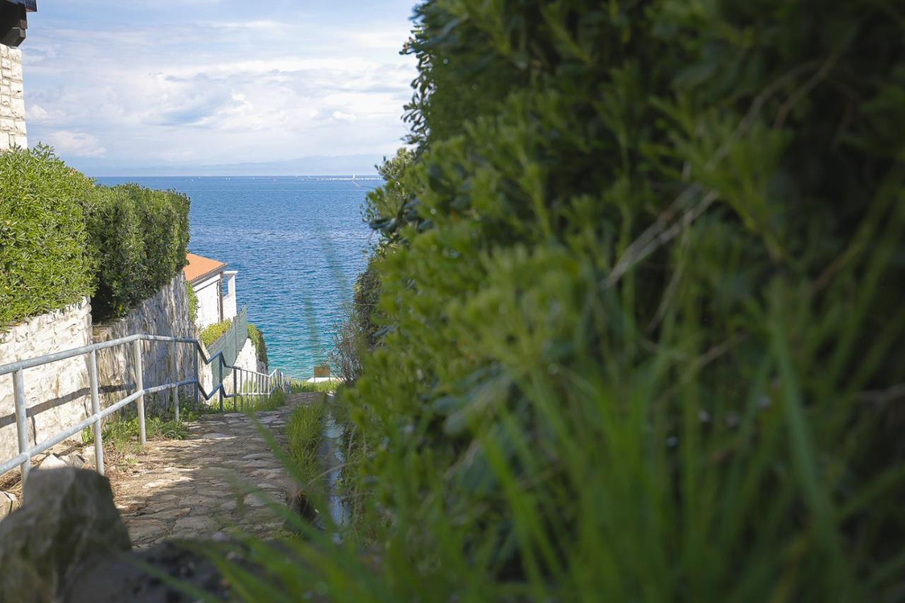 Apartments Villa Sofia Crveni Vrh Zewnętrze zdjęcie